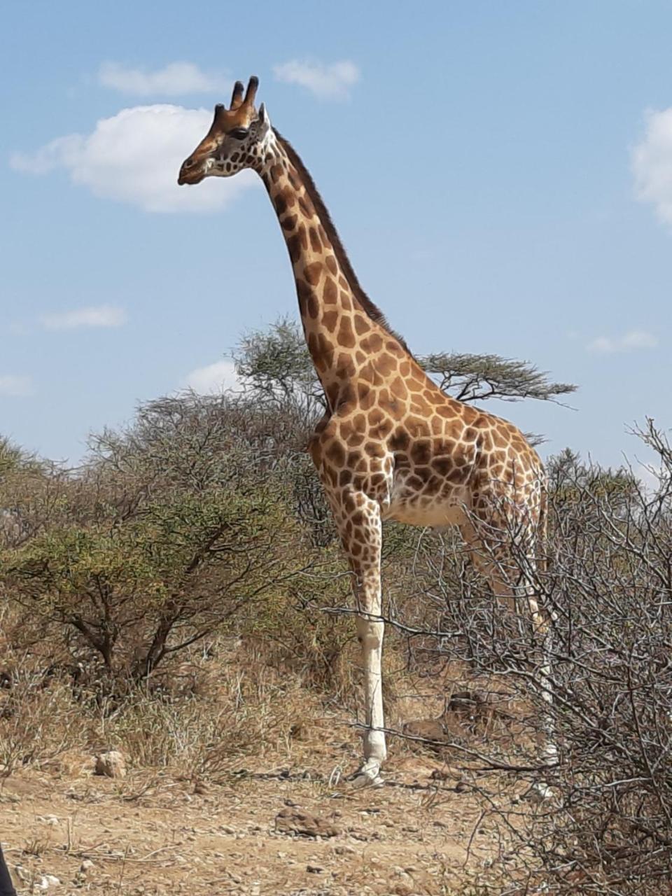Sandai Resort Lake Baringo Ol Kokwe Eksteriør bilde